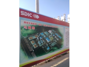 辽宁国投生物能源UPS EPS